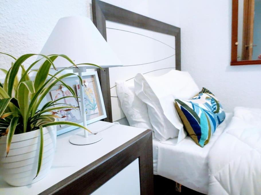 瓦伦西亚Precioso Piso Moderno: Terraza, A/C, Netflix, Wifi公寓 外观 照片